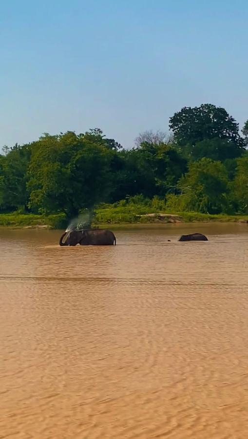 Elephant Paradise Safari Bungalow 우다왈라웨 외부 사진